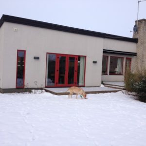 Husbilder-001-640x480